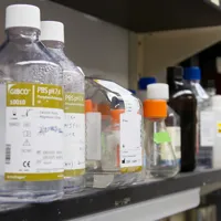 Laboratory PBS pH 7.4 Phosphate Buffer Solution - 10L+ Bottles