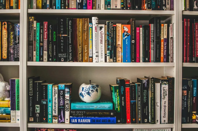 Large Fiction & Non-Fiction Book Collection - Approximately 100+ Volumes